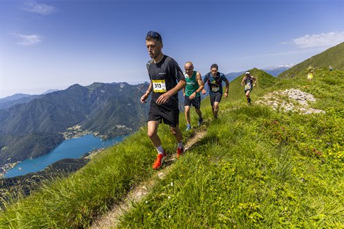 FREE PHOTOS OF LEDRO SKY